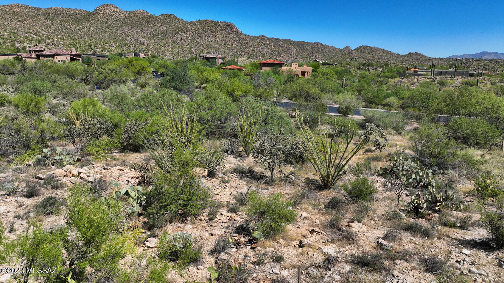 1079 W Tortolita Mountain Circle W 170