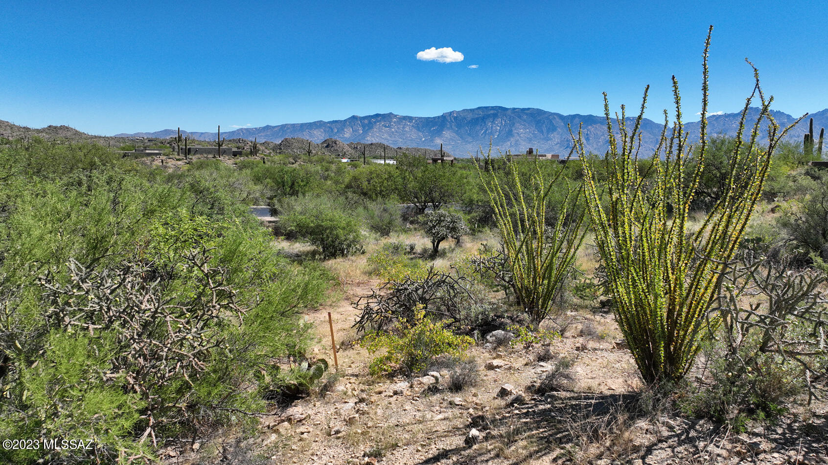 1079 W Tortolita Mountain Circle W 170
