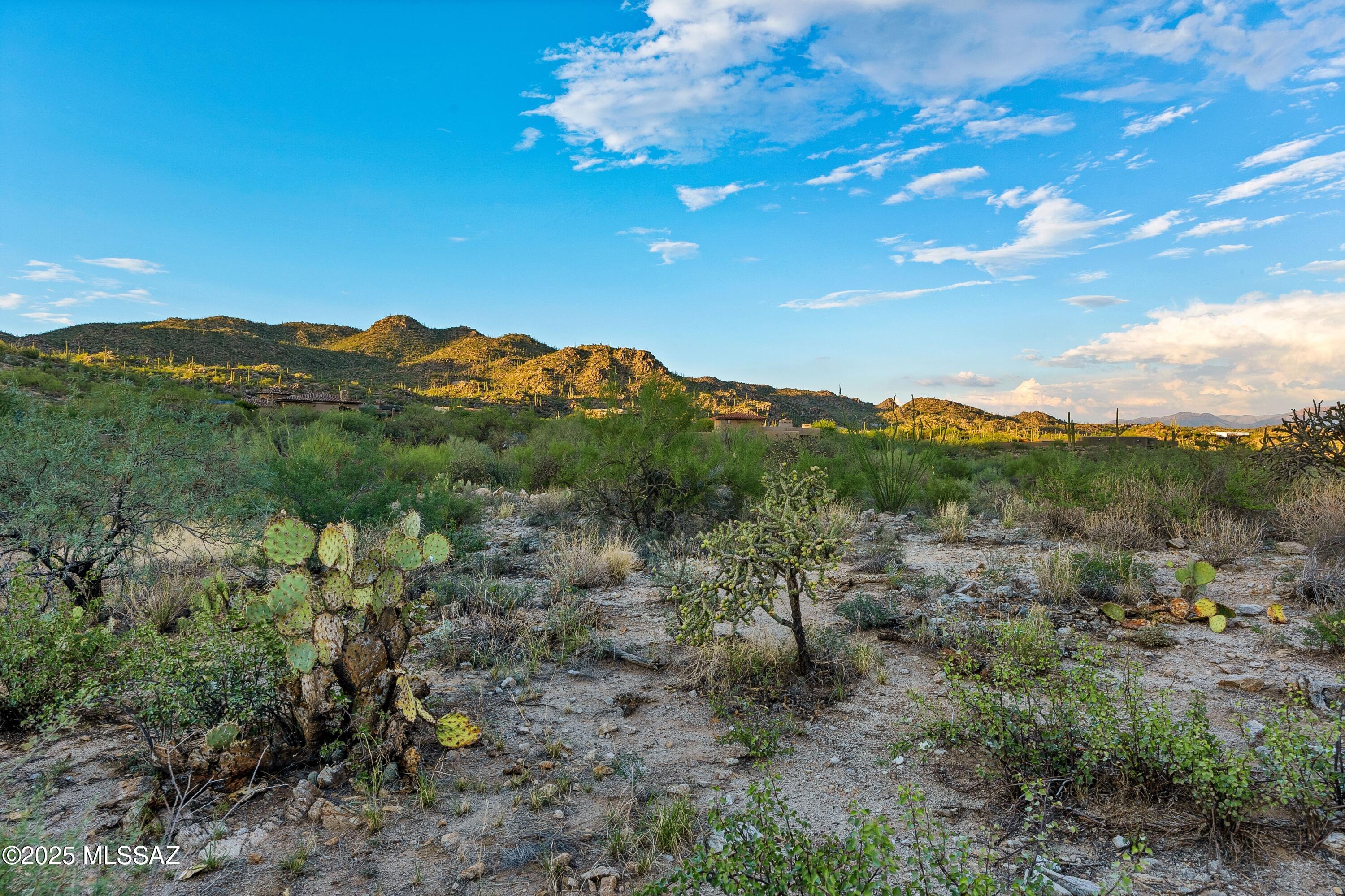 1079 W Tortolita Mountain Circle W 170
