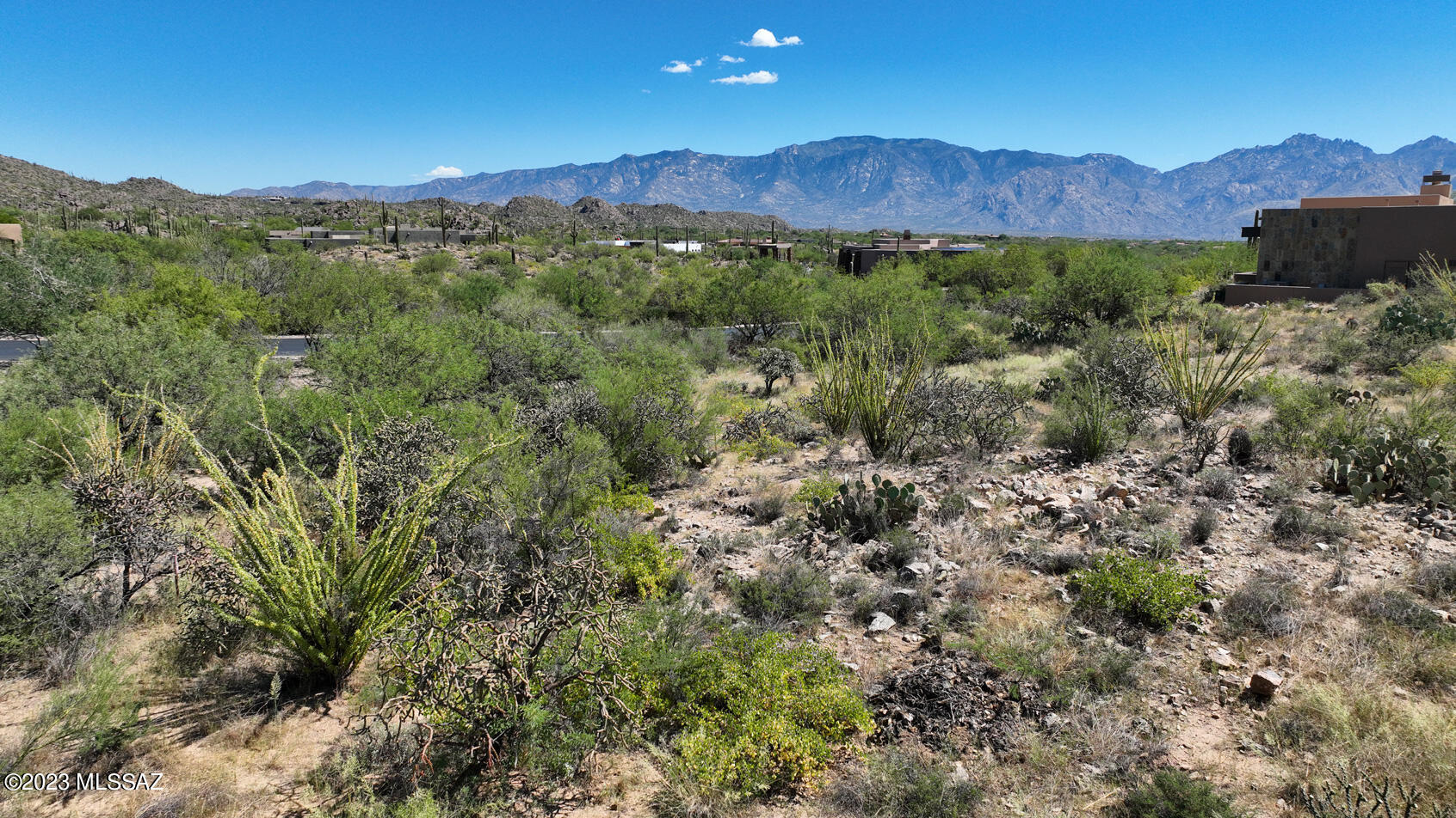 1079 W Tortolita Mountain Circle W 170
