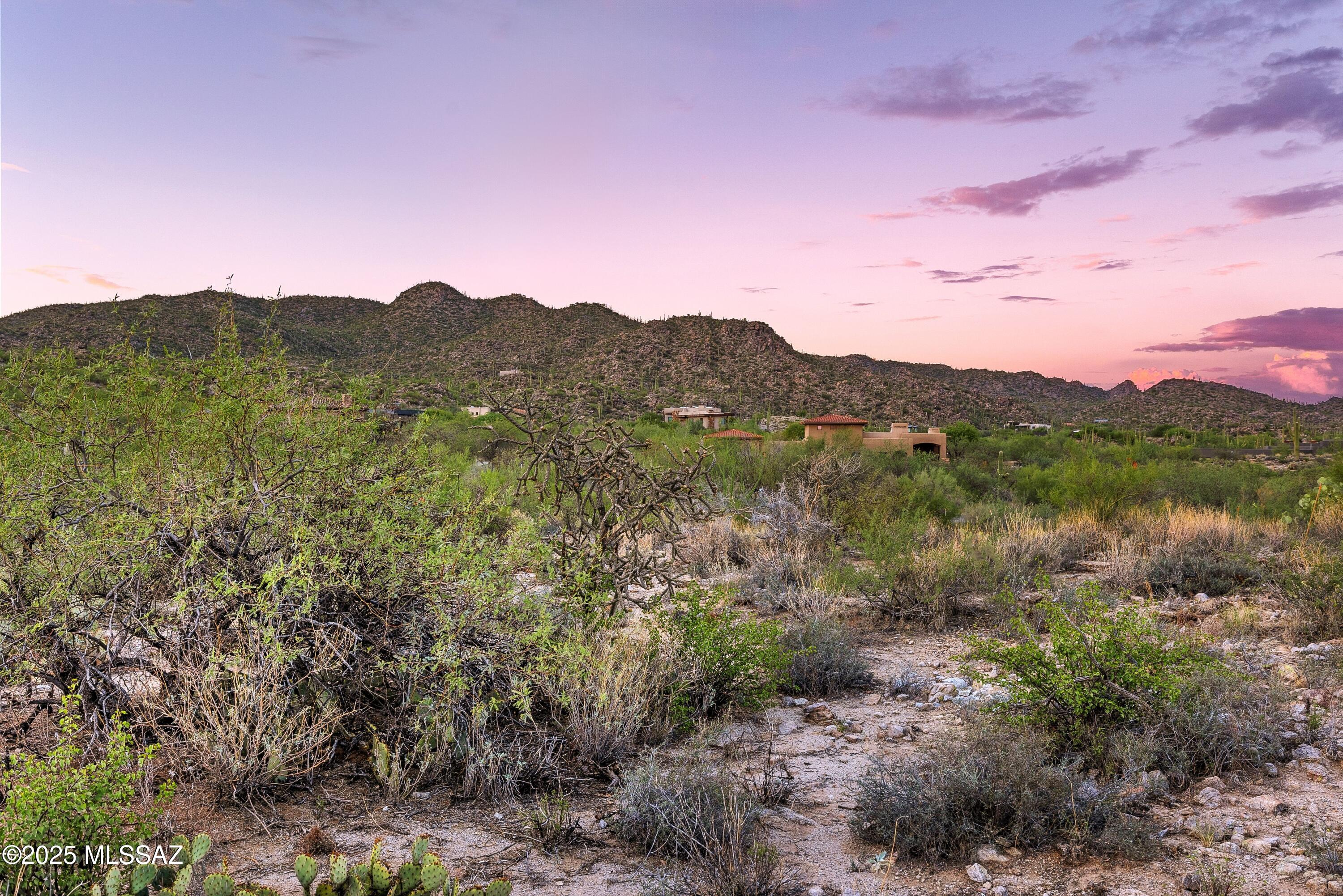1079 W Tortolita Mountain Circle W 170