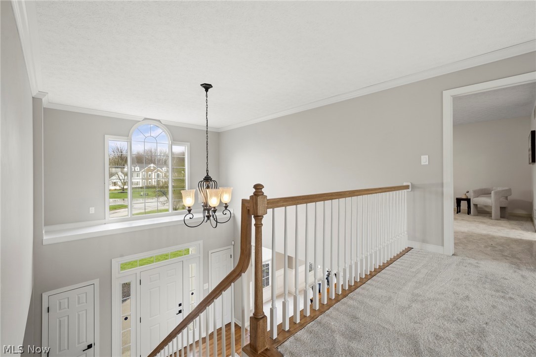 1878 E Haymarket Way