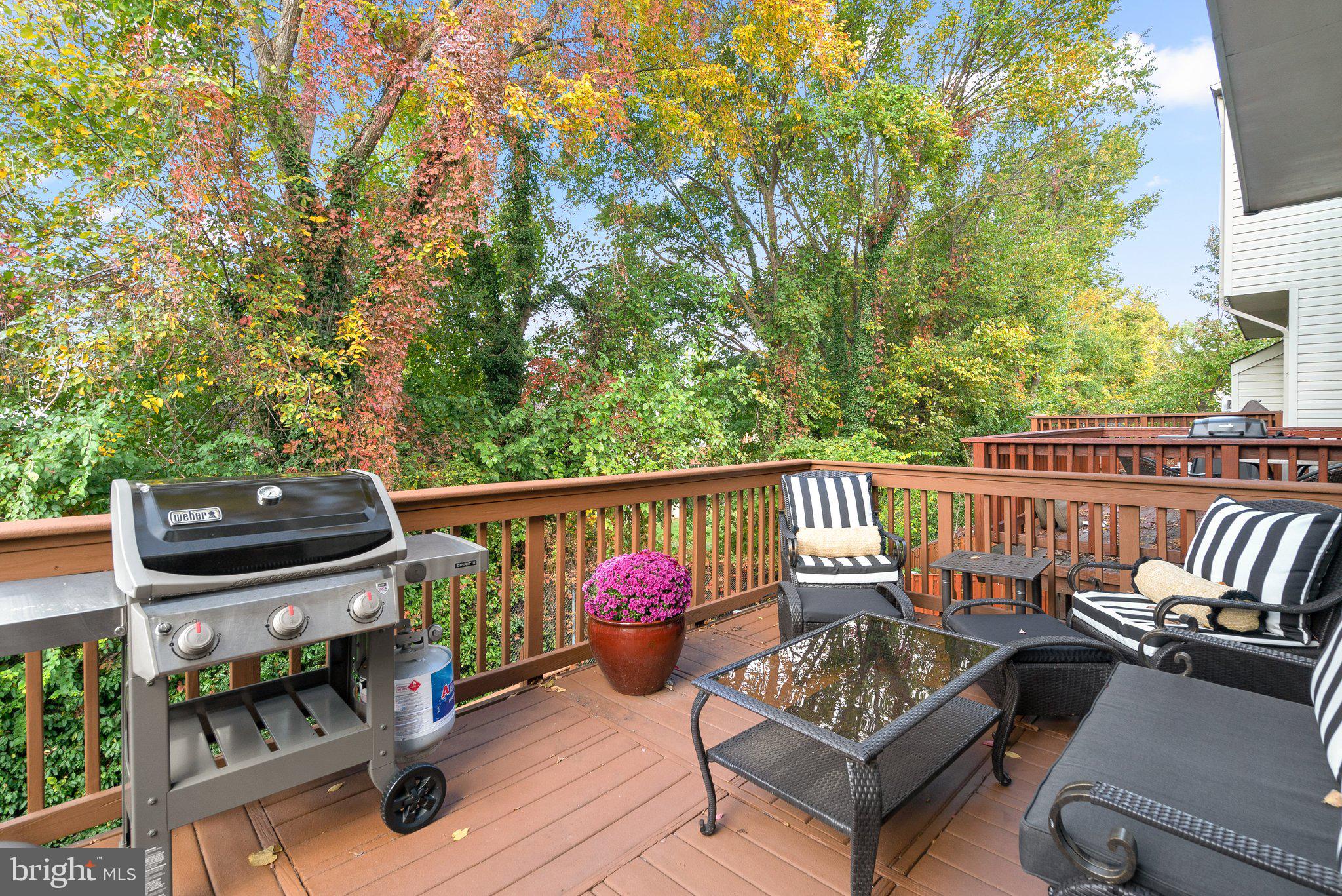124 Ingle Pl