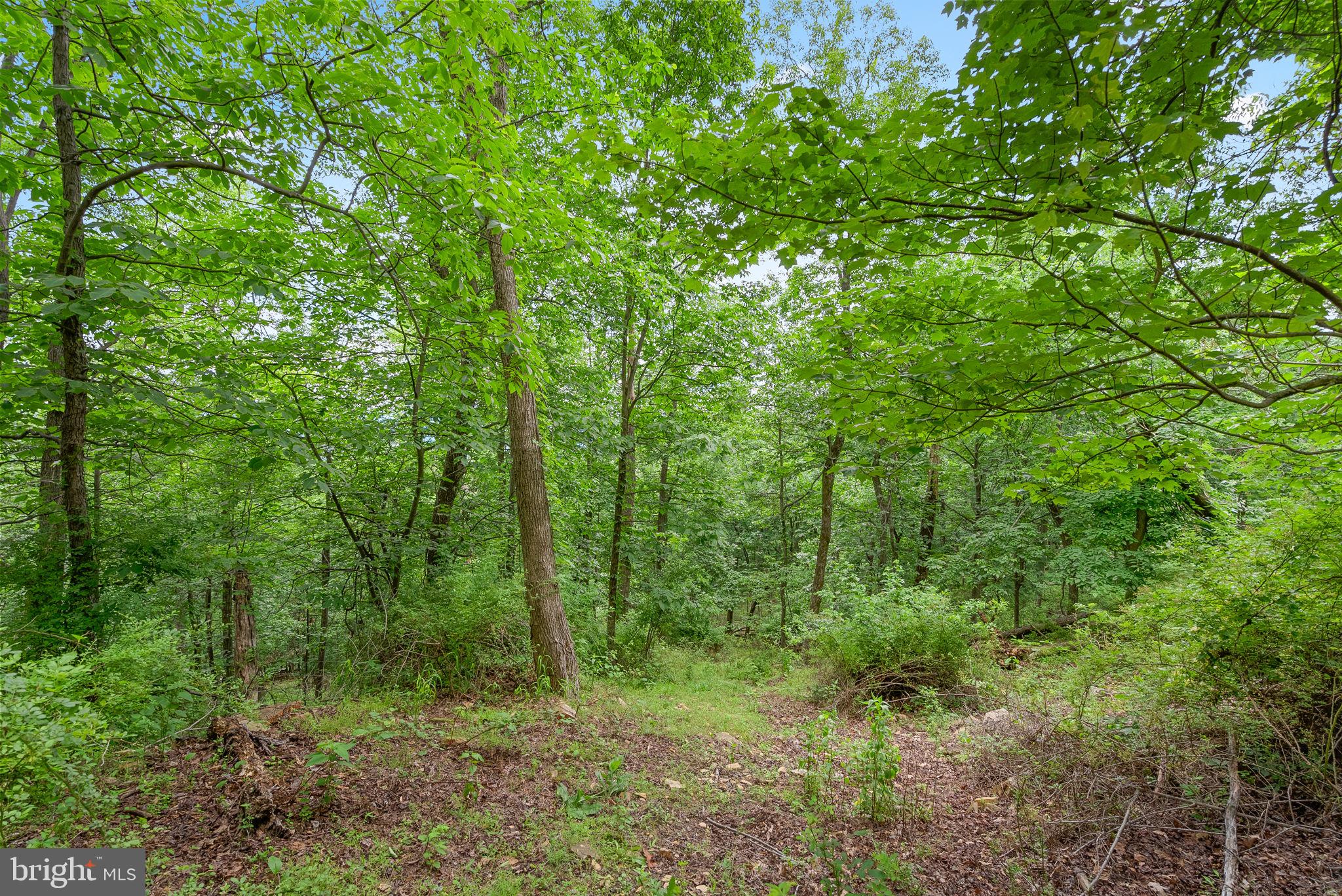 2617 Lookout Rd