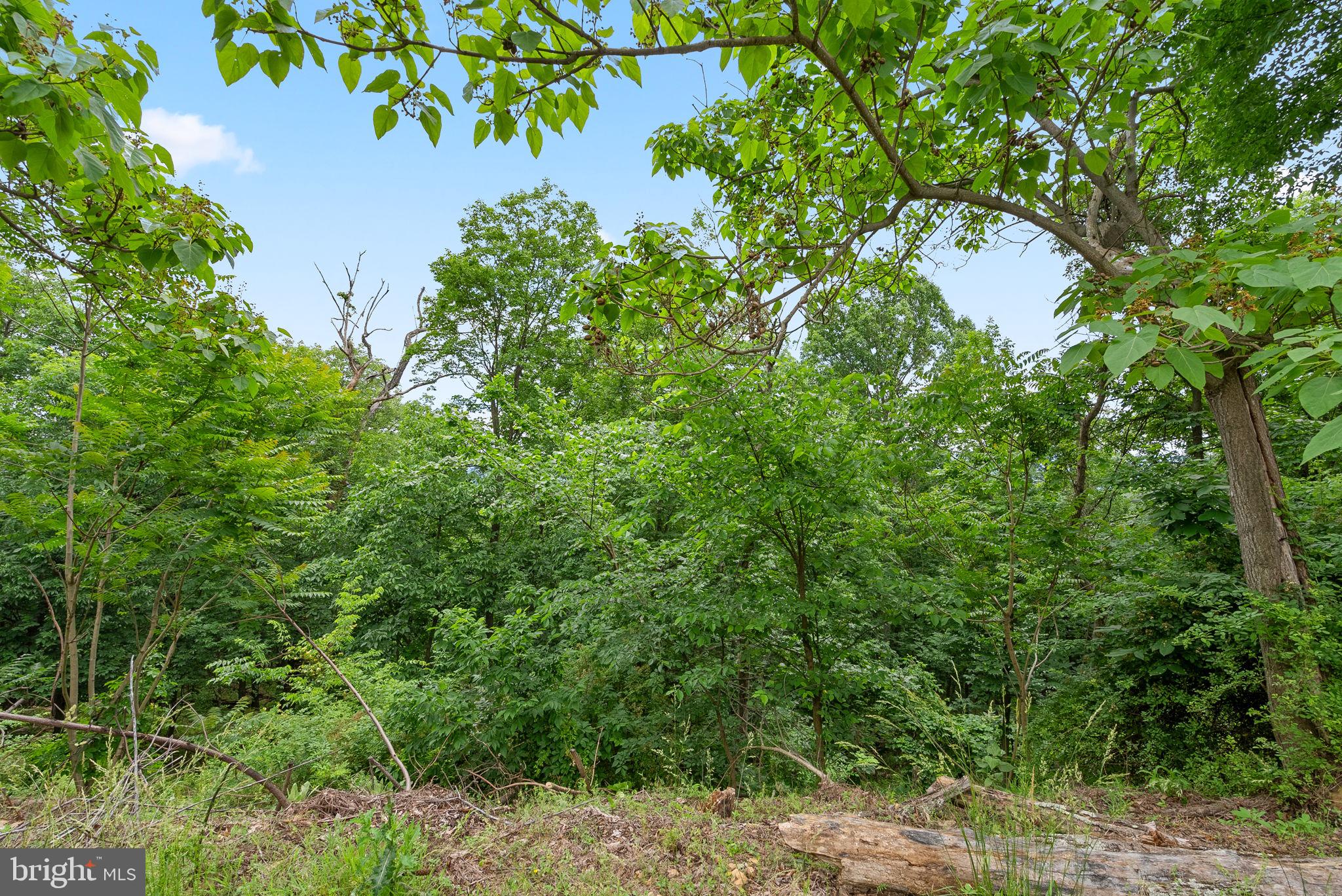 2617 Lookout Rd