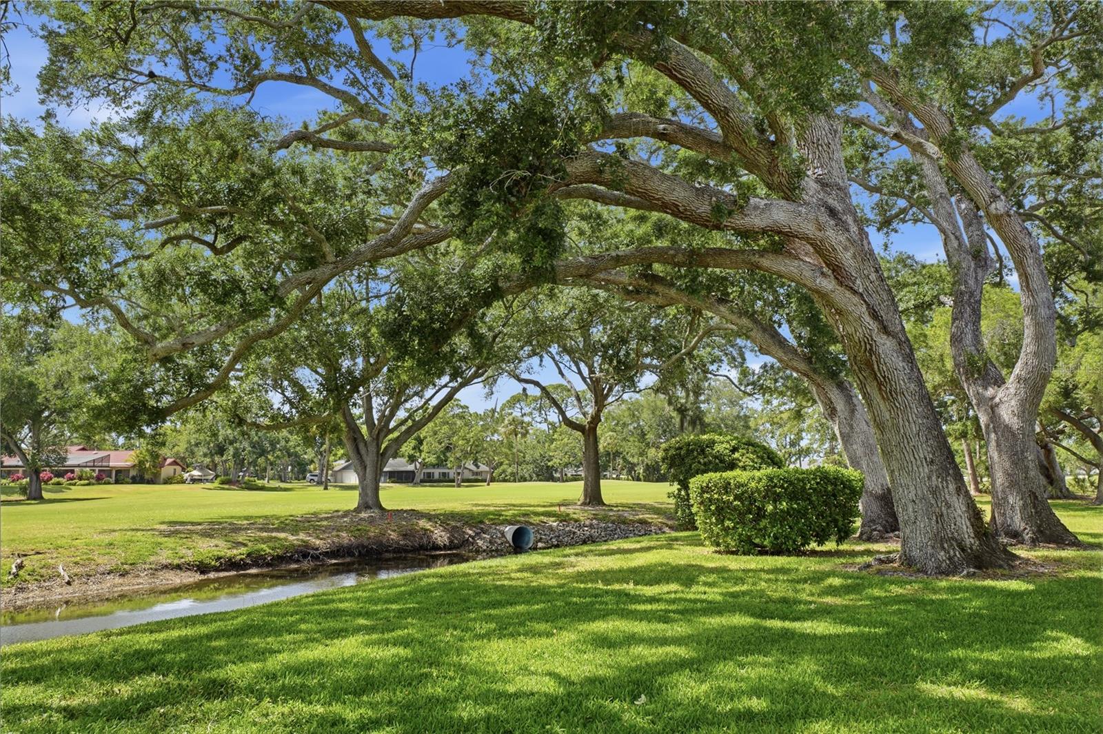 7860 PALM AIRE LN #103