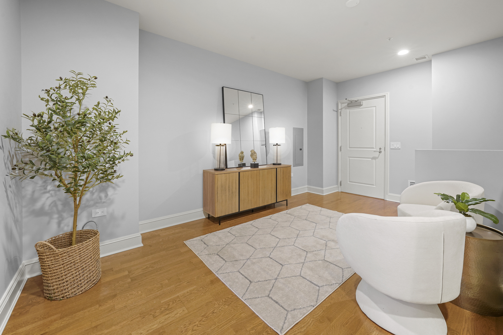 850 N Lake Shore Drive Unit: 204