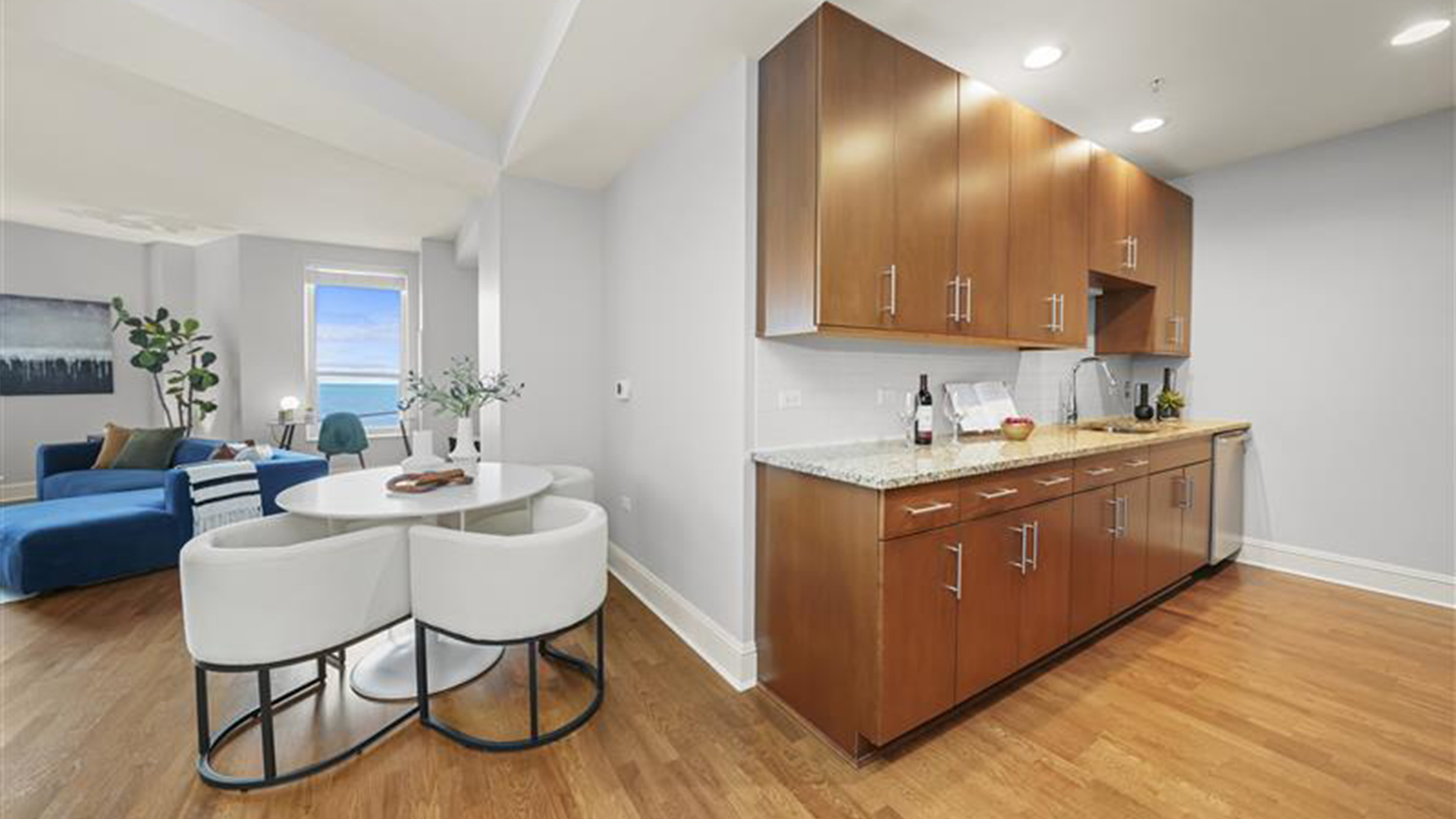 850 N Lake Shore Drive Unit: 1606