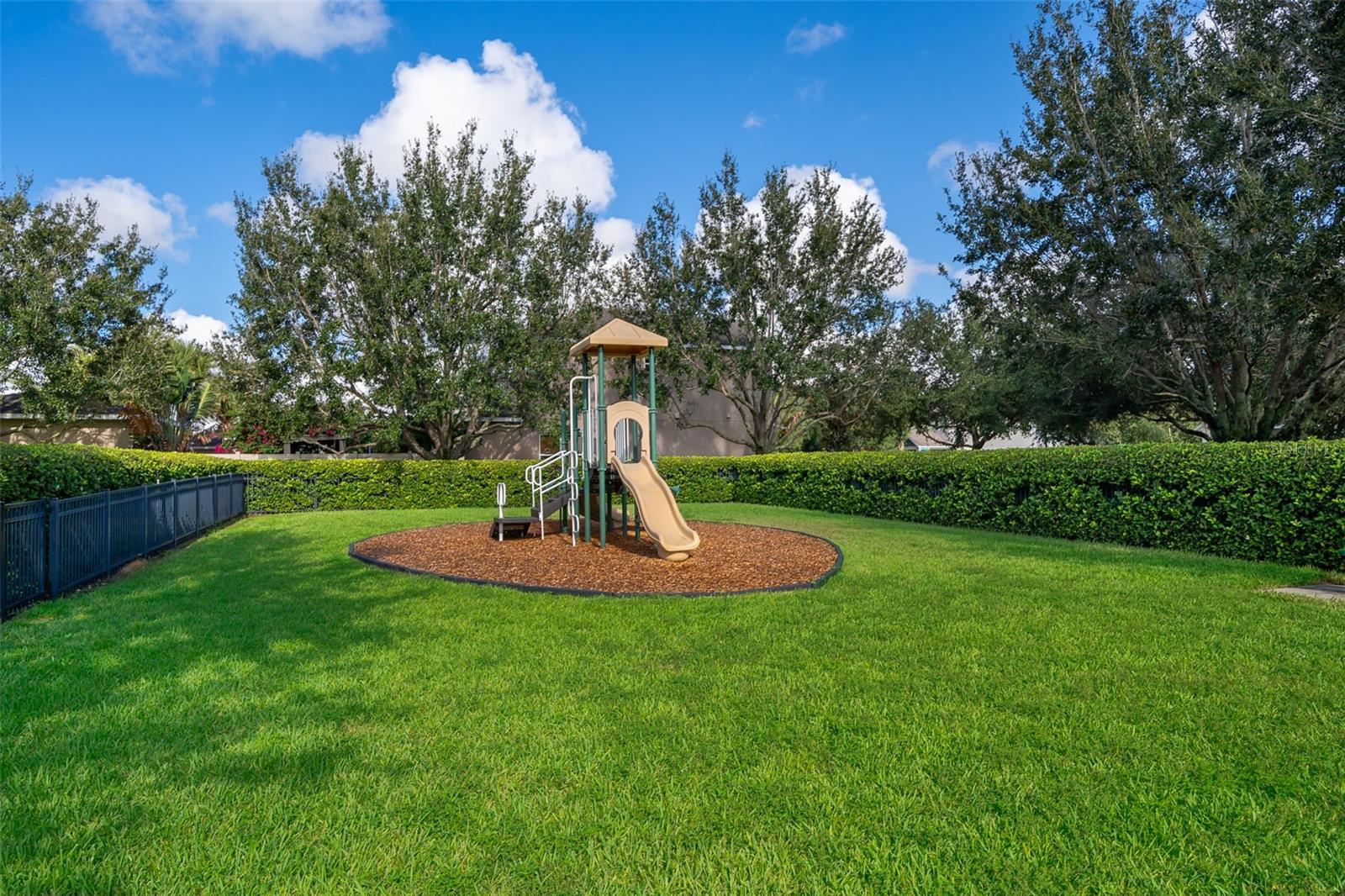 15506 HONEY MANDARIN WAY
