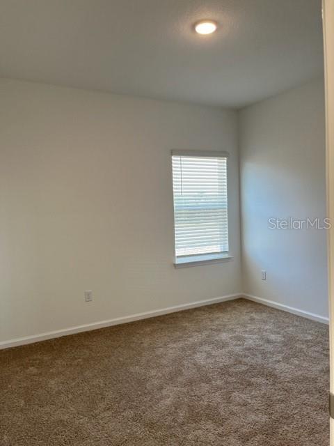 4502 DAVOS DR