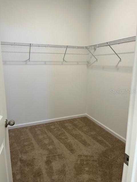4502 DAVOS DR