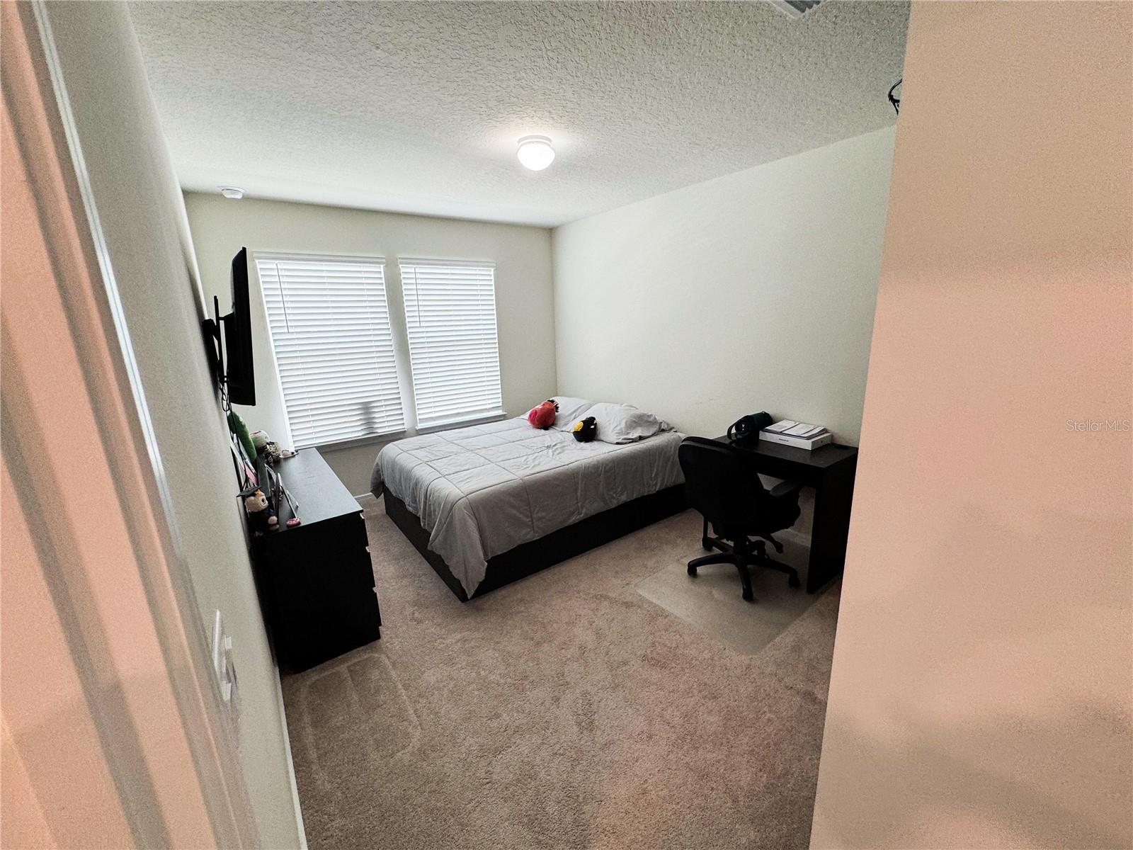 6117 ARBOR WATCH LOOP