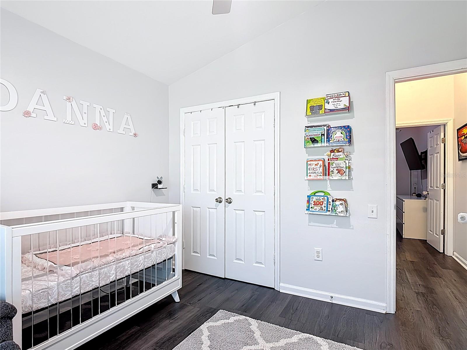 3238 WHOOPING CRANE RUN