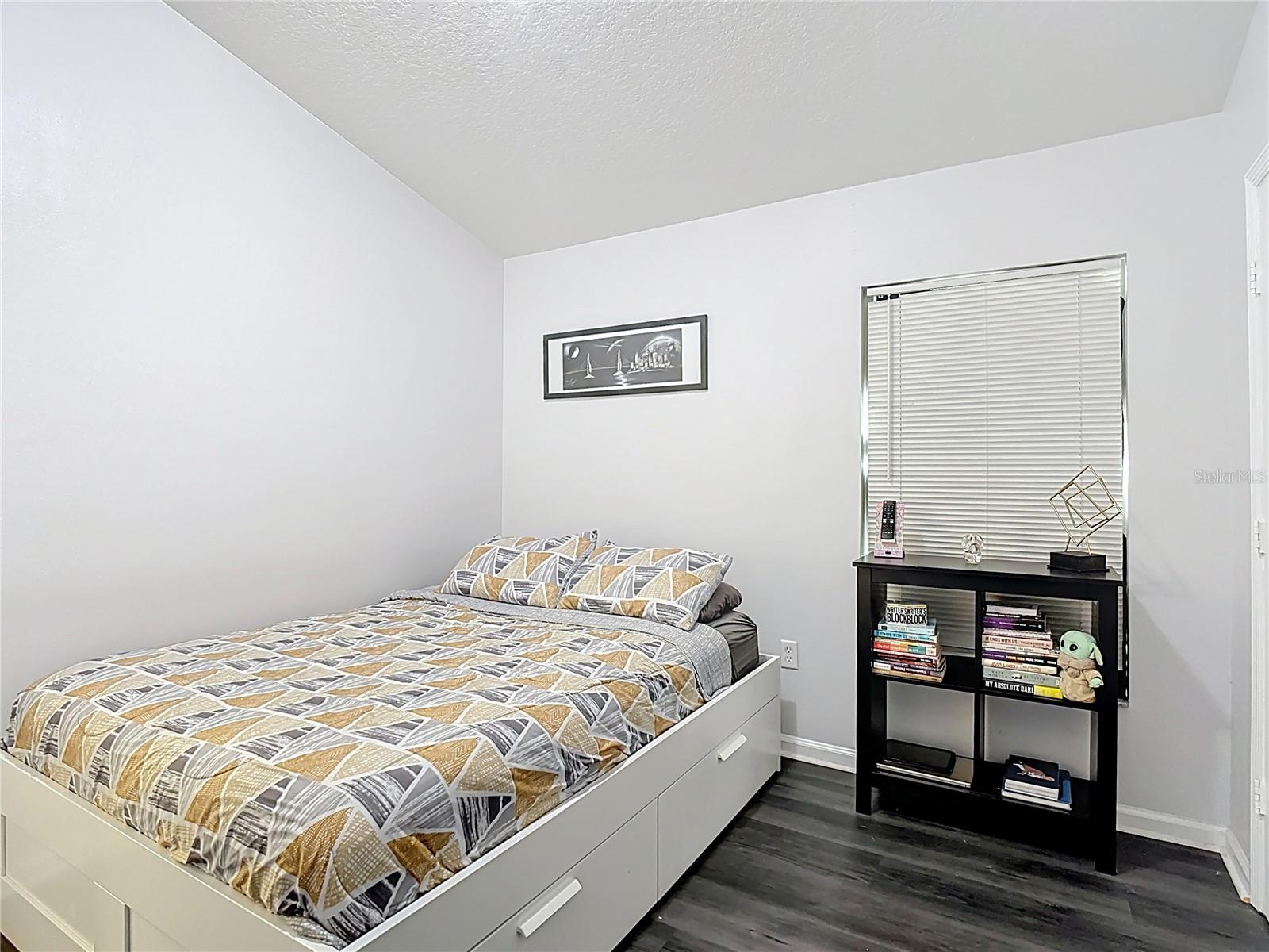 3238 WHOOPING CRANE RUN