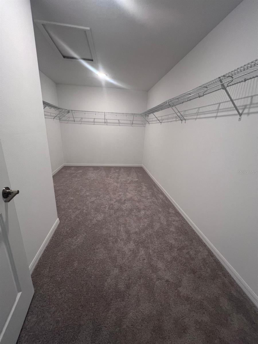 424 WAYLAND DR