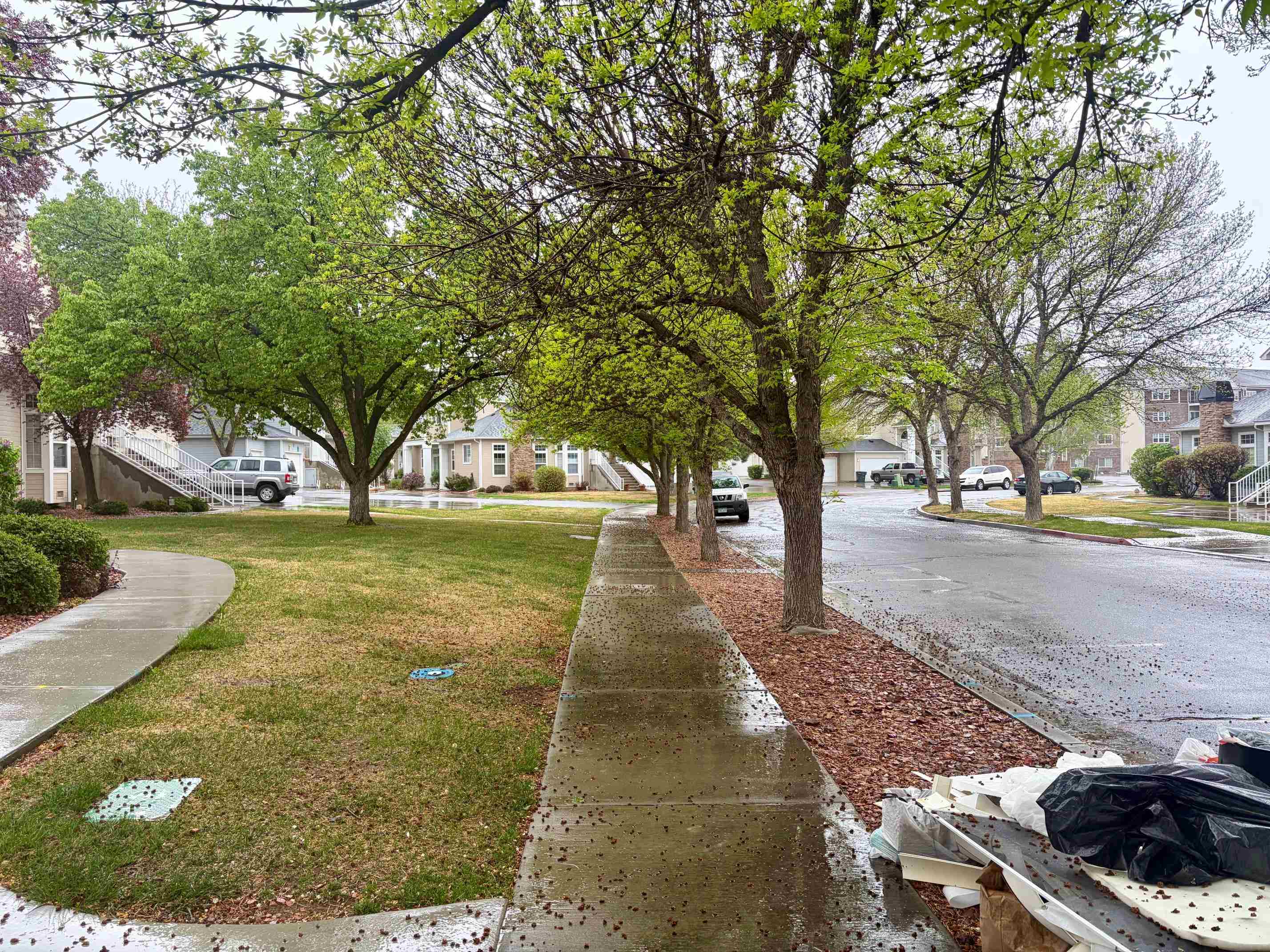 739 Glen Court Unit: 40