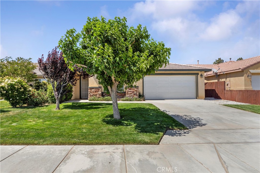 11672 Dos Palmas Road