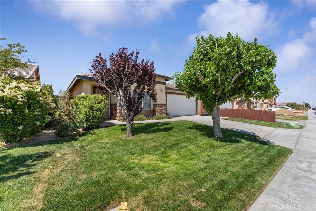 11672 Dos Palmas Road