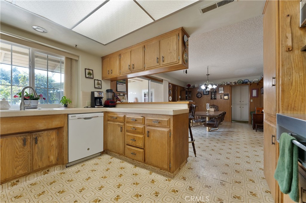 1110 Hidden Springs Lane