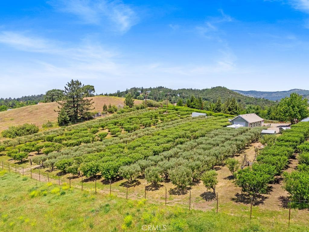 2645 Apple Lane