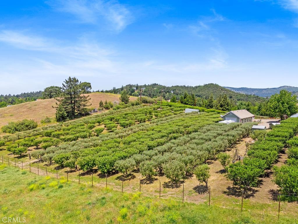 2645 Apple Lane