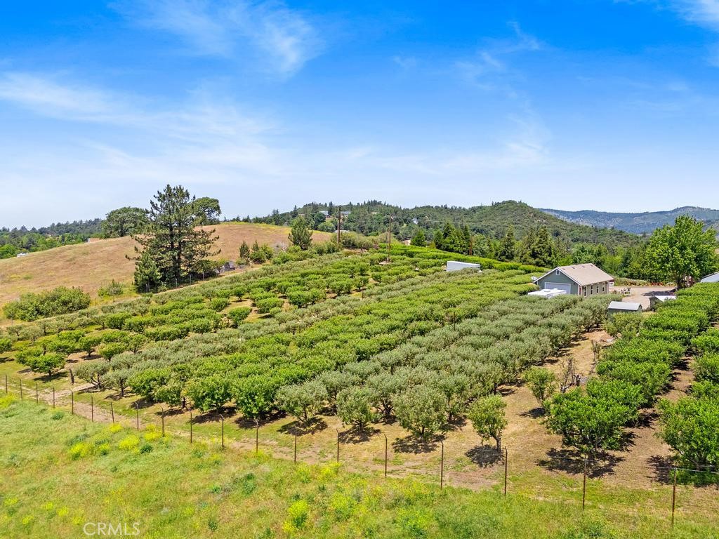 2645 Apple Lane