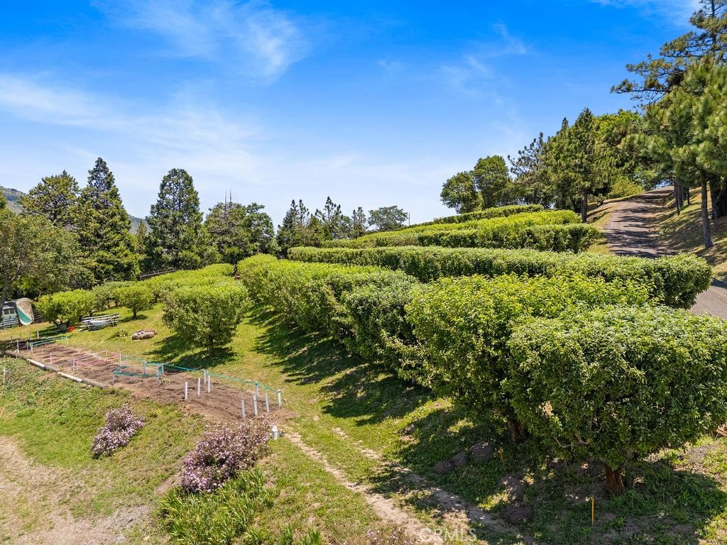2645 Apple Lane