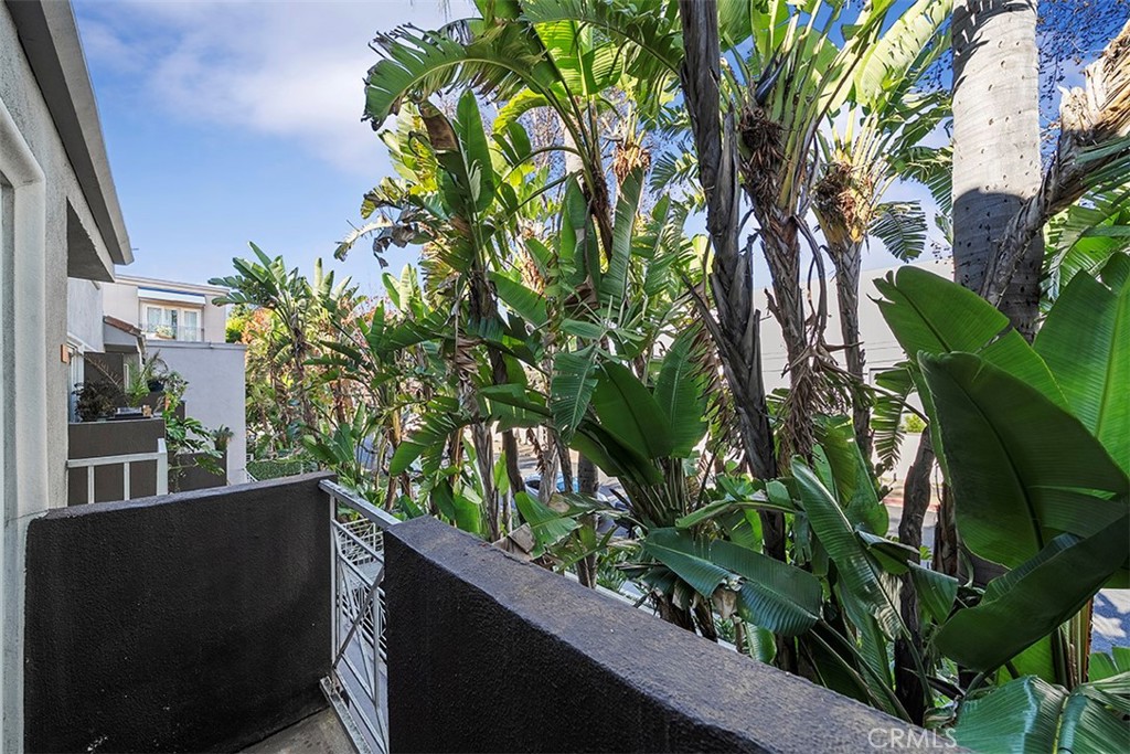 355 N Maple Street 245