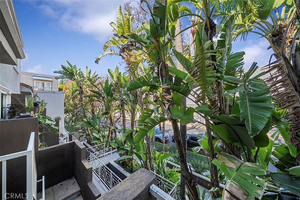 355 N Maple Street 245