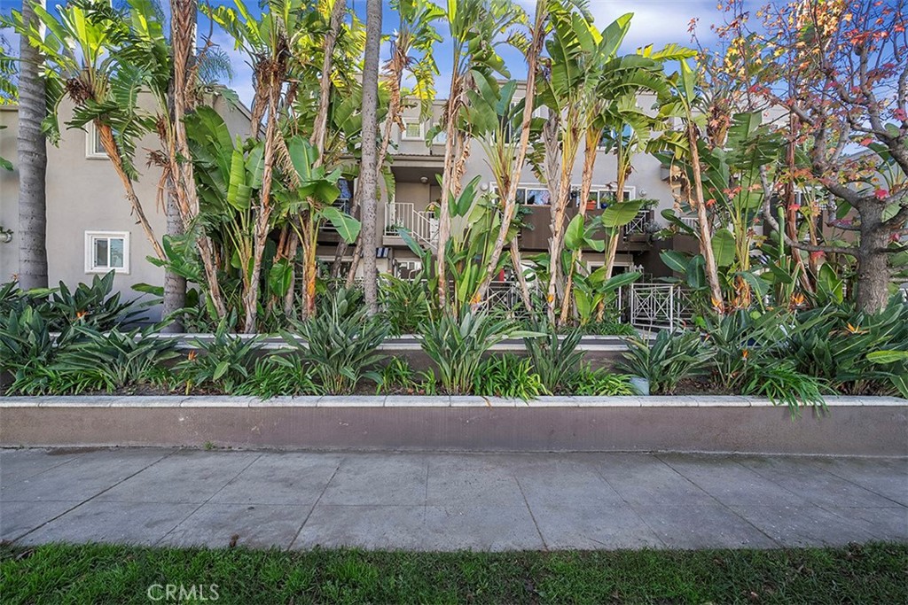 355 N Maple Street 245