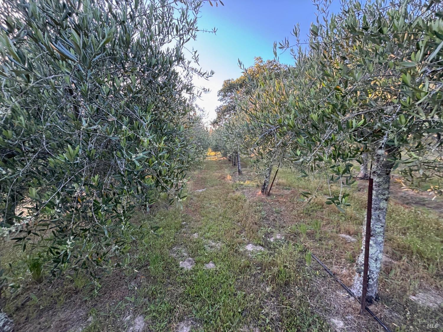 788 Ferguson Road