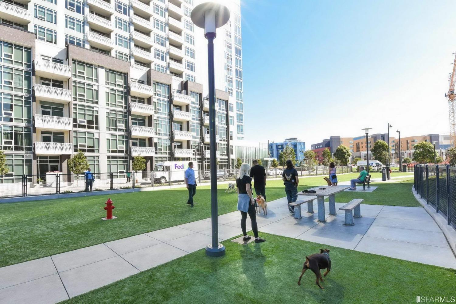 16 Jessie Street Unit: 110