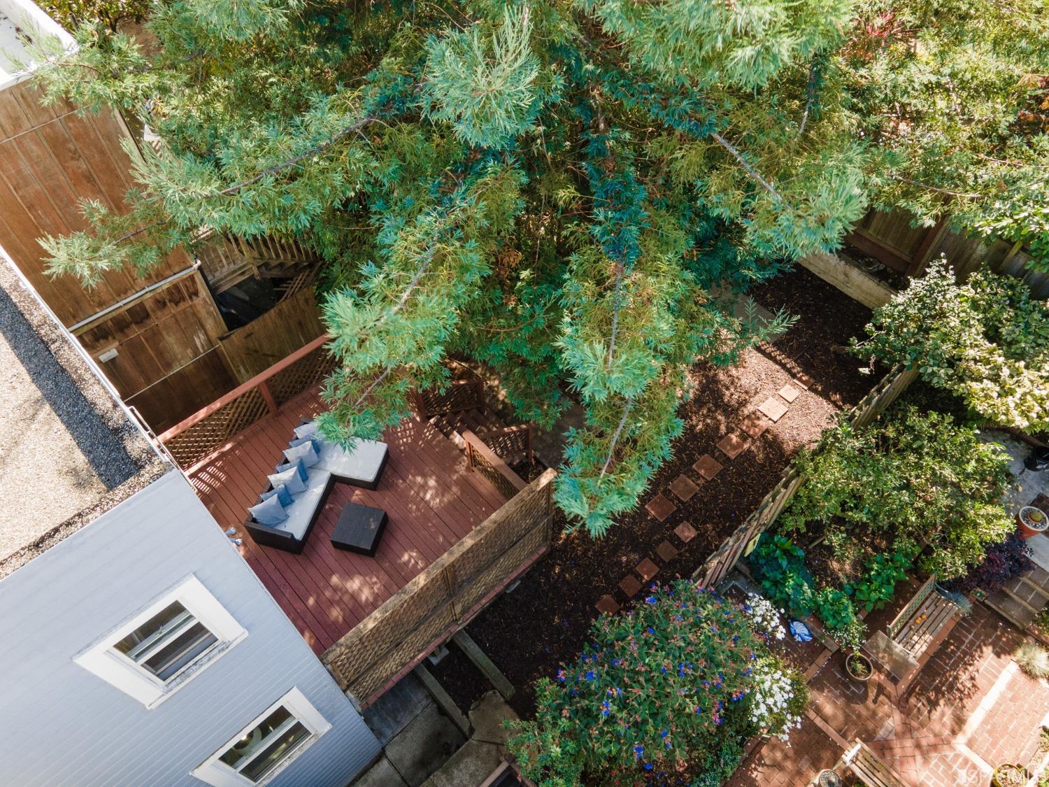 24 Cuvier Street