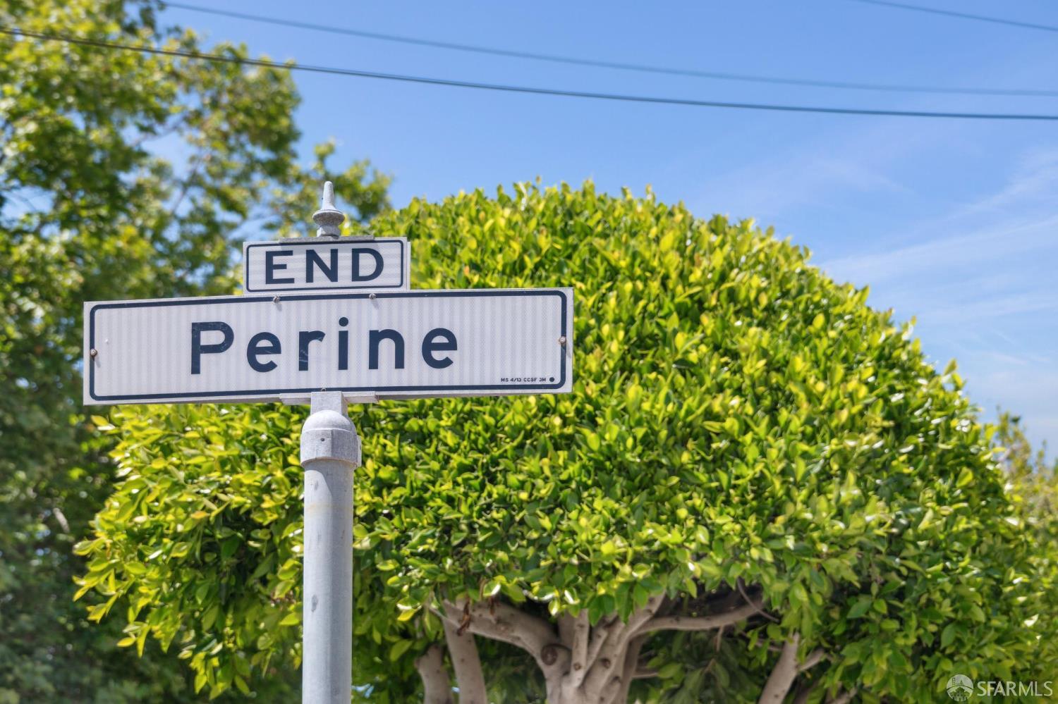 50 Perine Place