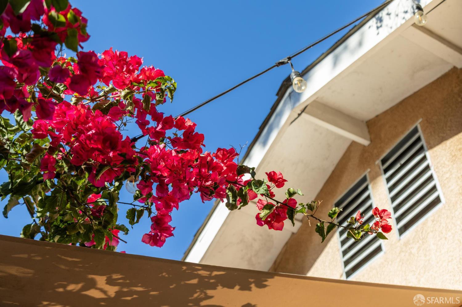 165 W Macarthur Boulevard