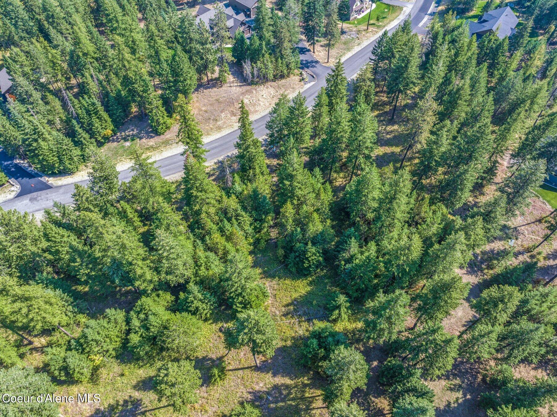 L3B10 N Walden Loop