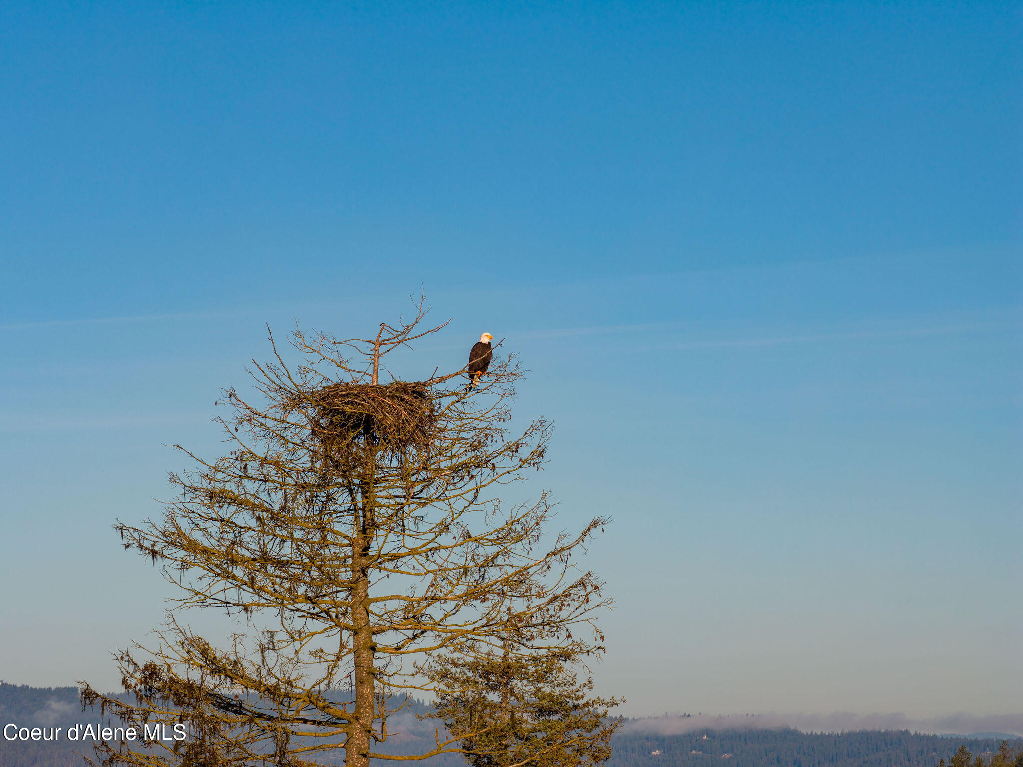 NNA E Bridger Trail, Coeur d'Alene