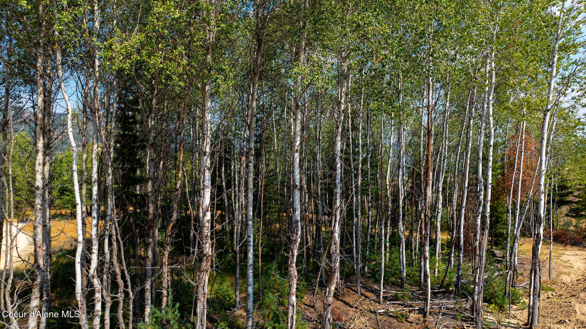 610 Government Gulch Rd