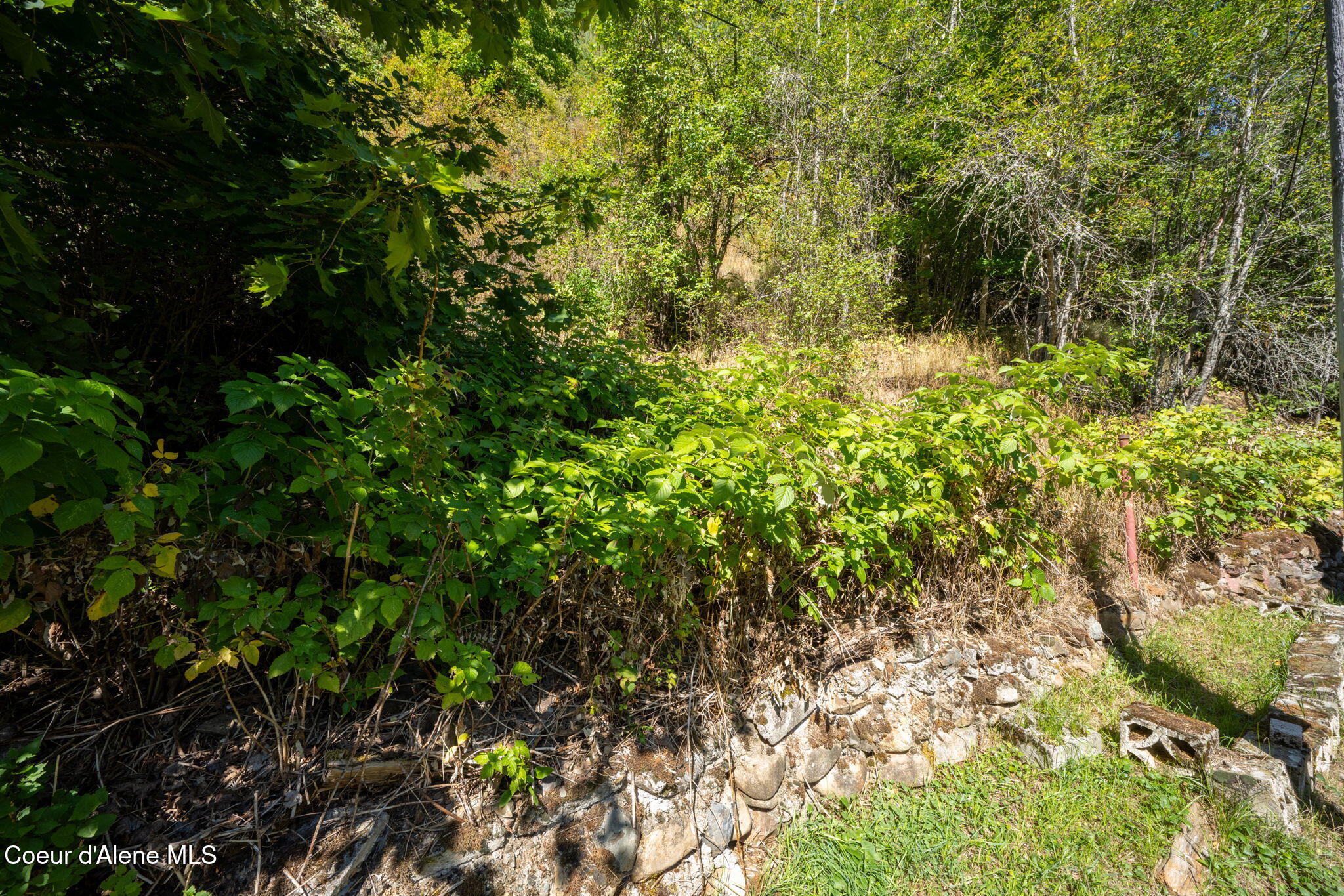 153 Burke RD