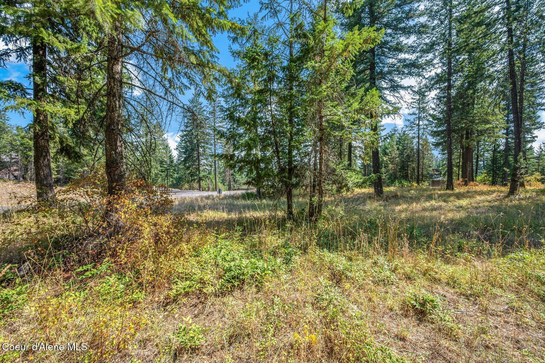 L4B1 N Walden Loop