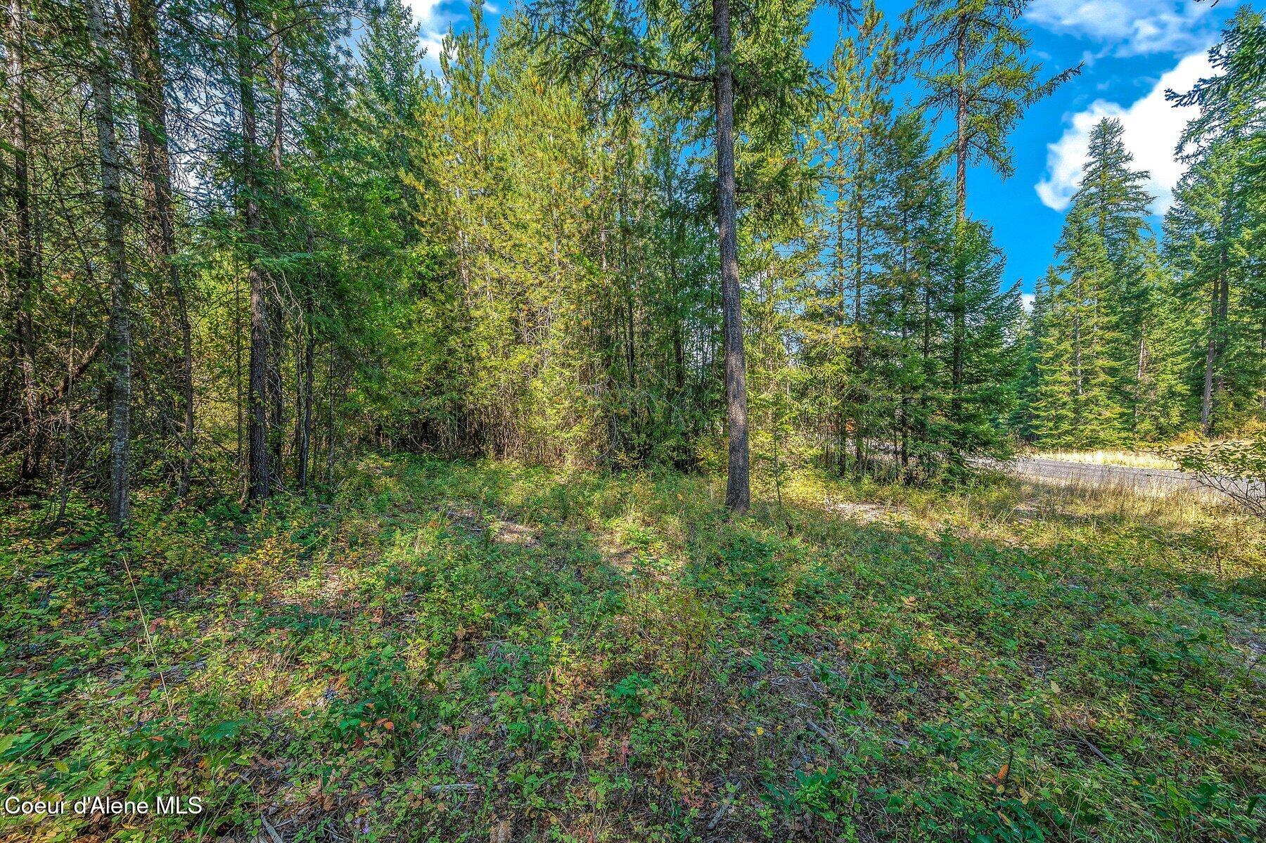 L4B1 N Walden Loop