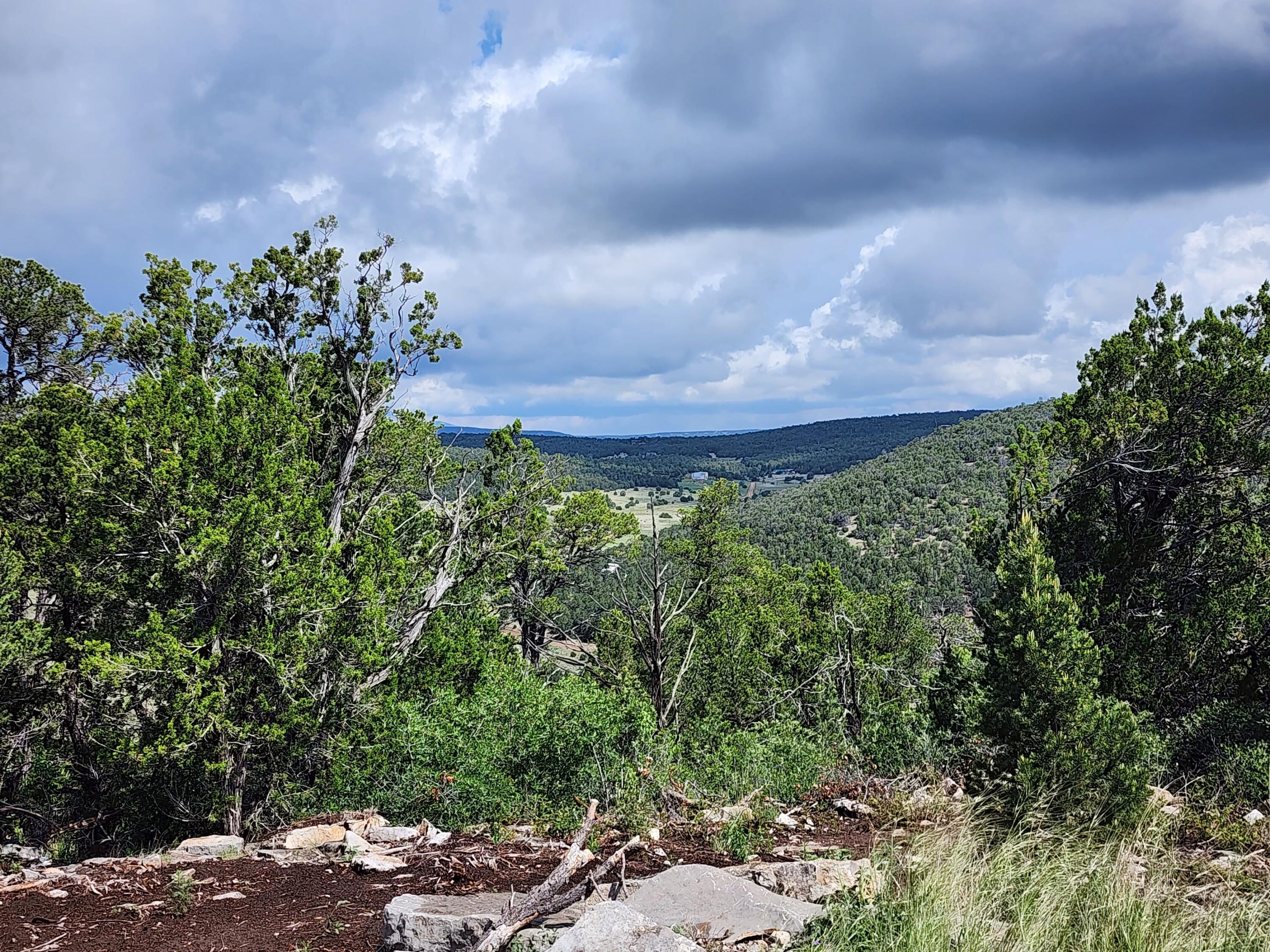 37 Valley Vista Court