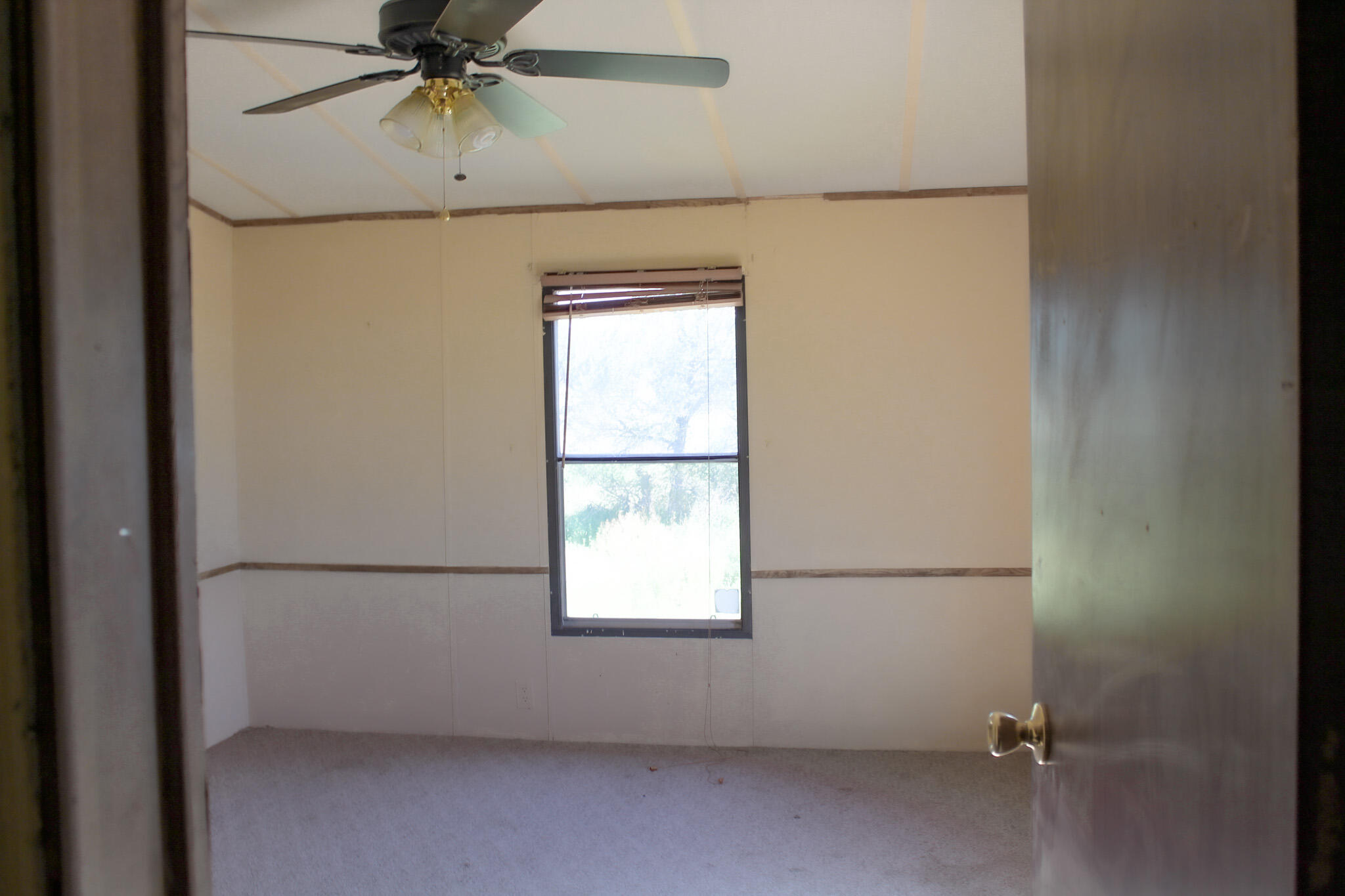 246 Cedar Lane Drive