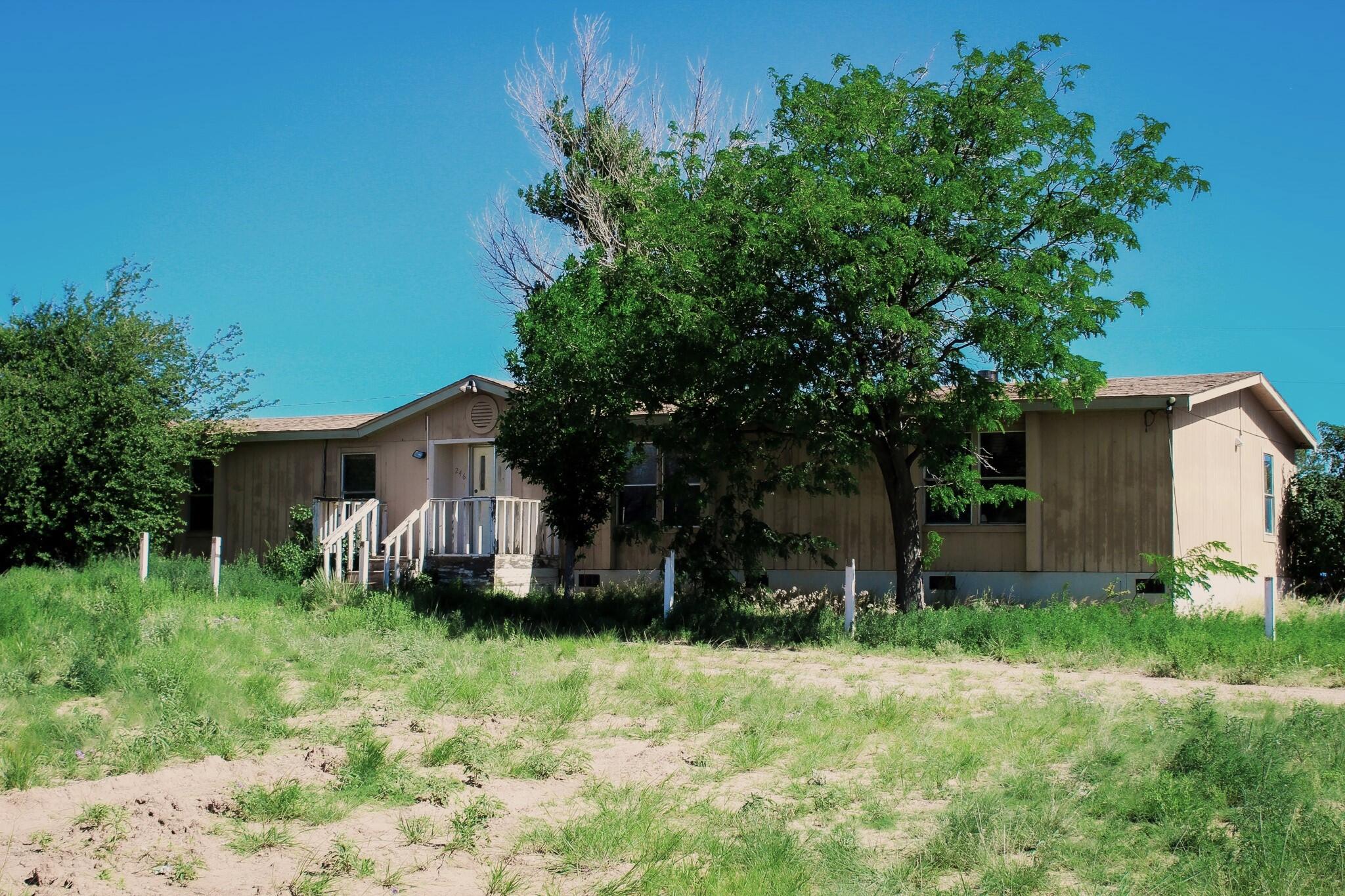 246 Cedar Lane Drive