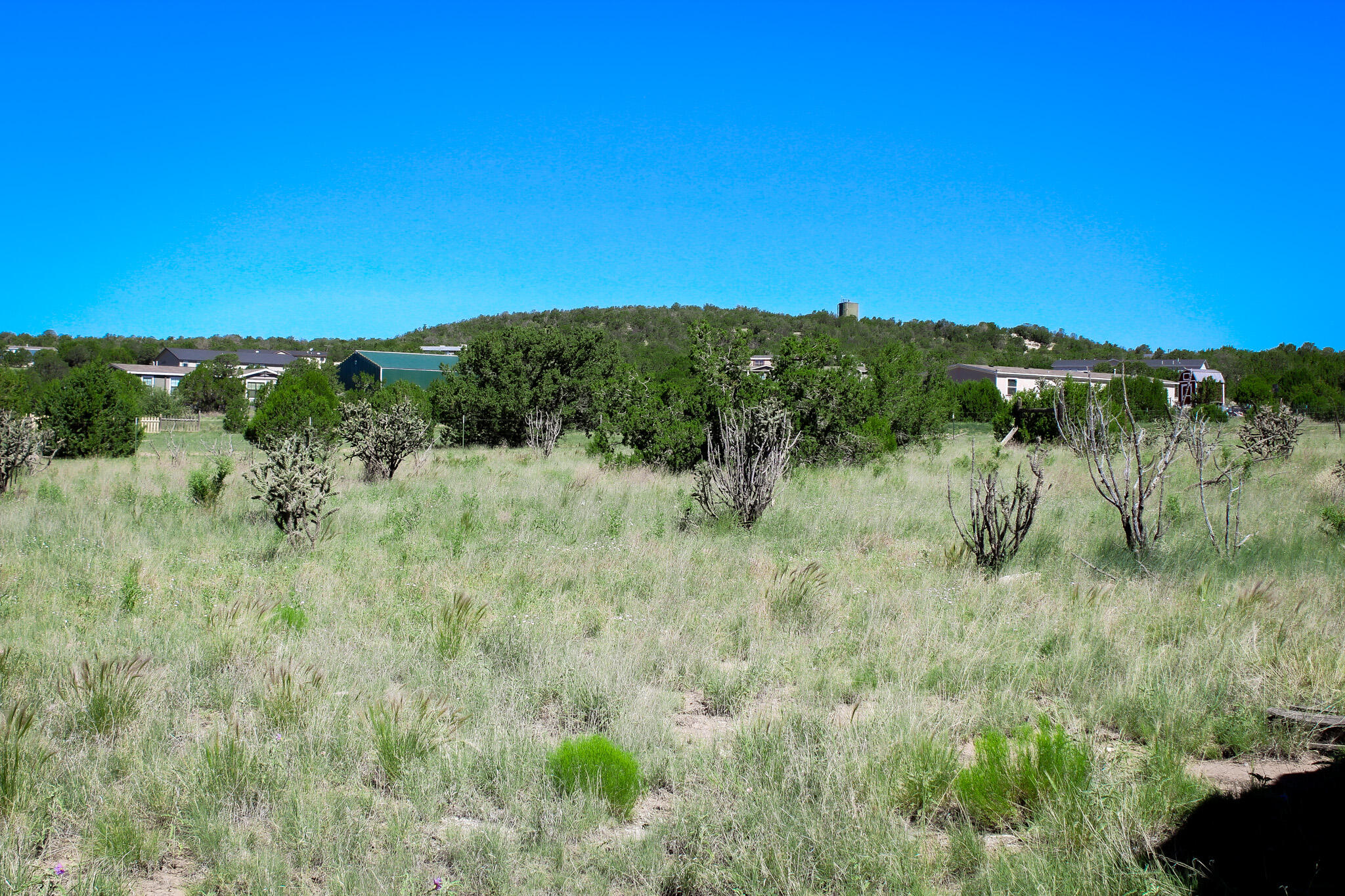 246 Cedar Lane Drive