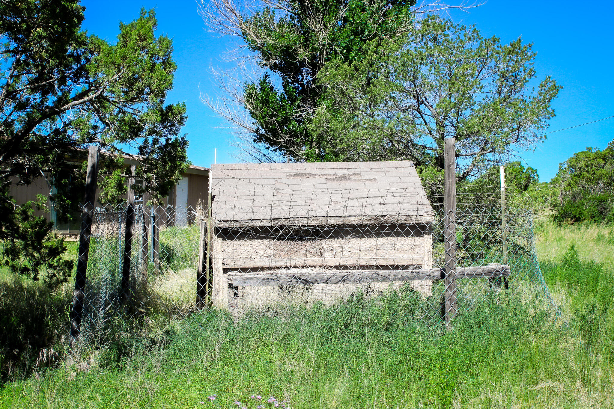 246 Cedar Lane Drive