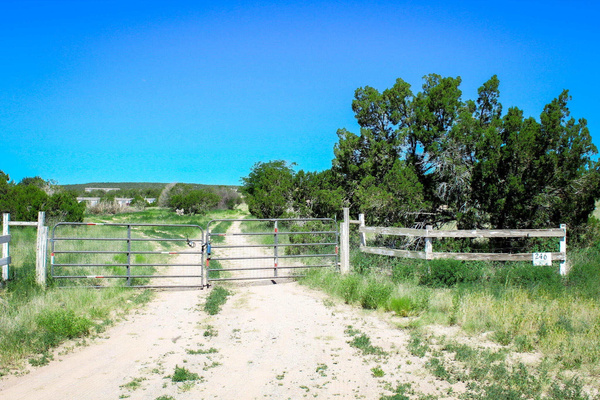 246 Cedar Lane Drive