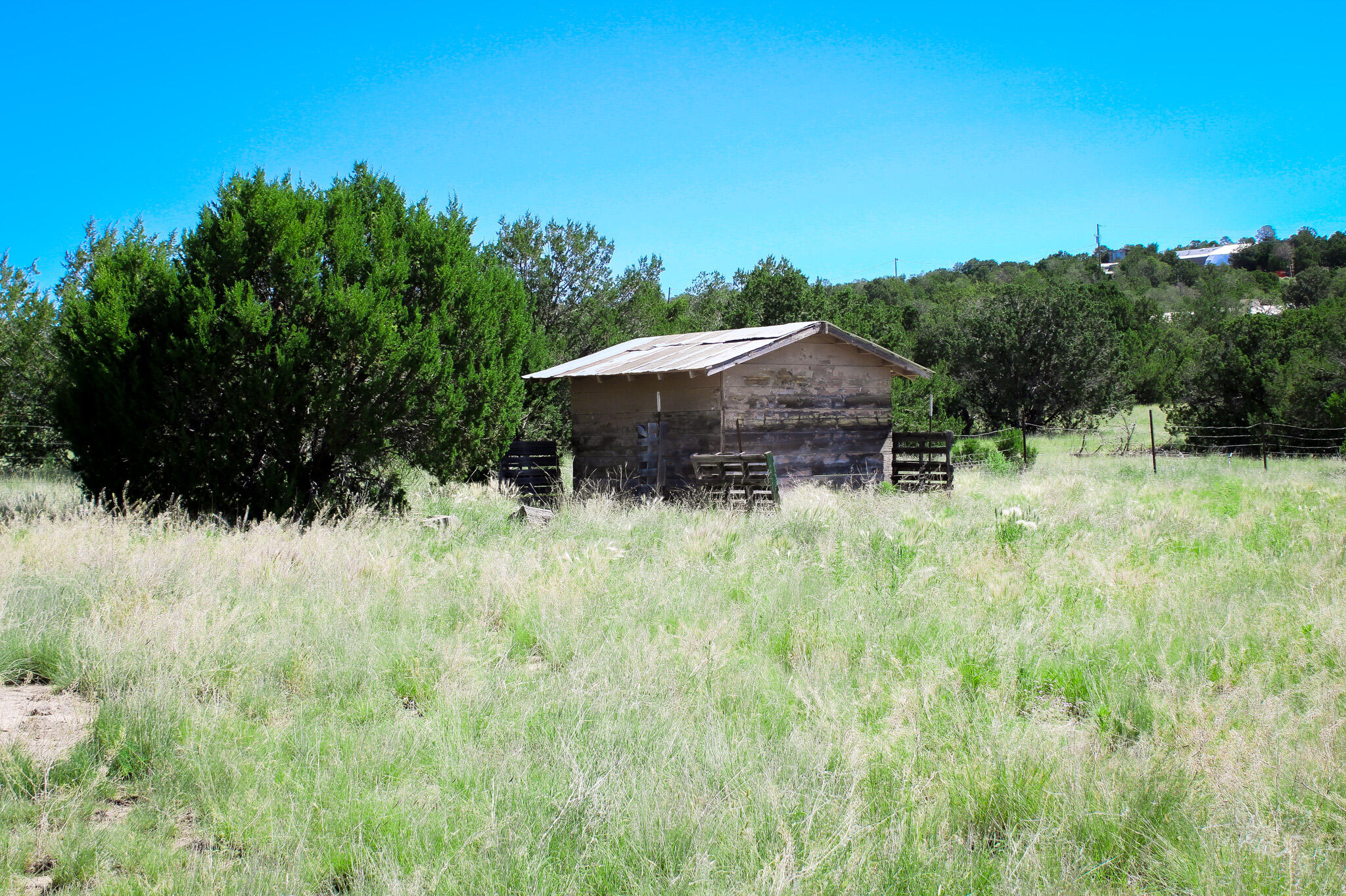 246 Cedar Lane Drive