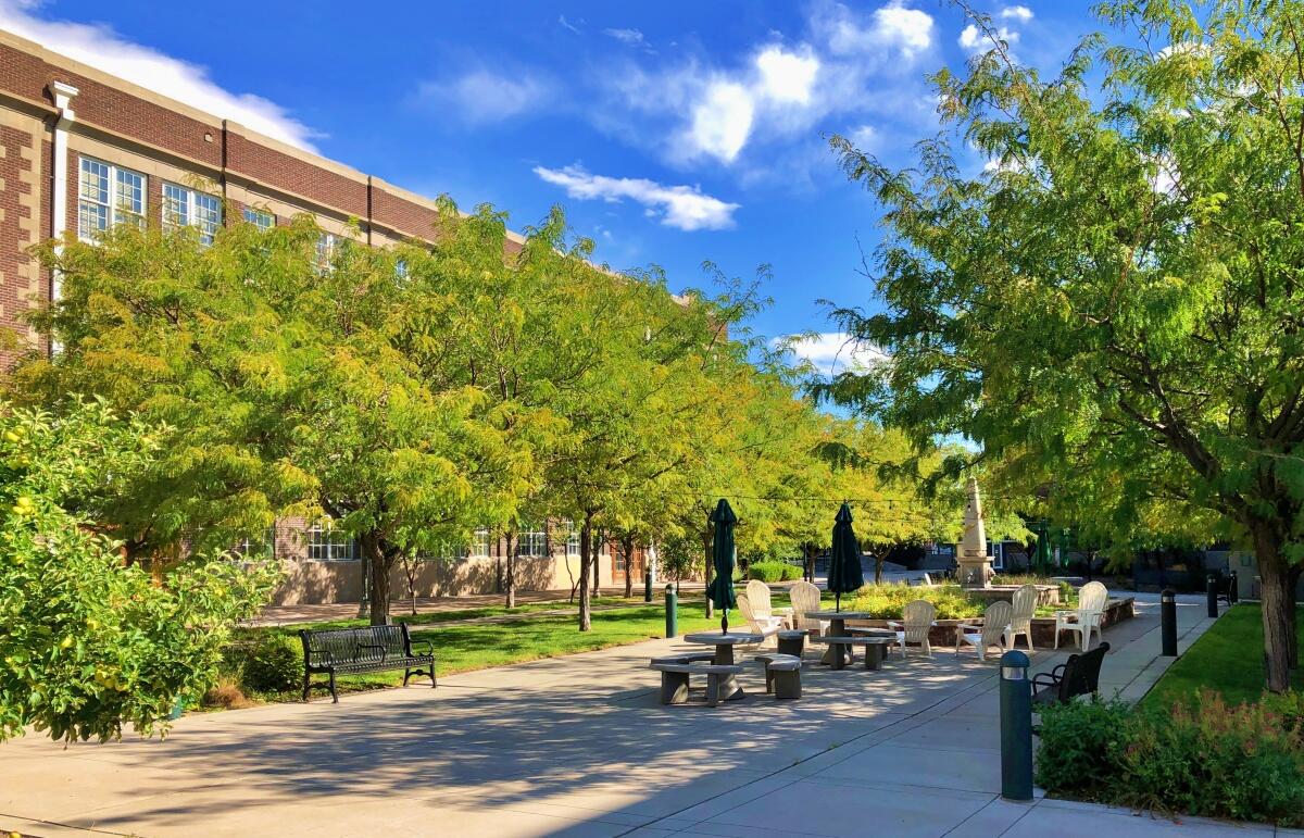 300 Tijeras Avenue NE 104