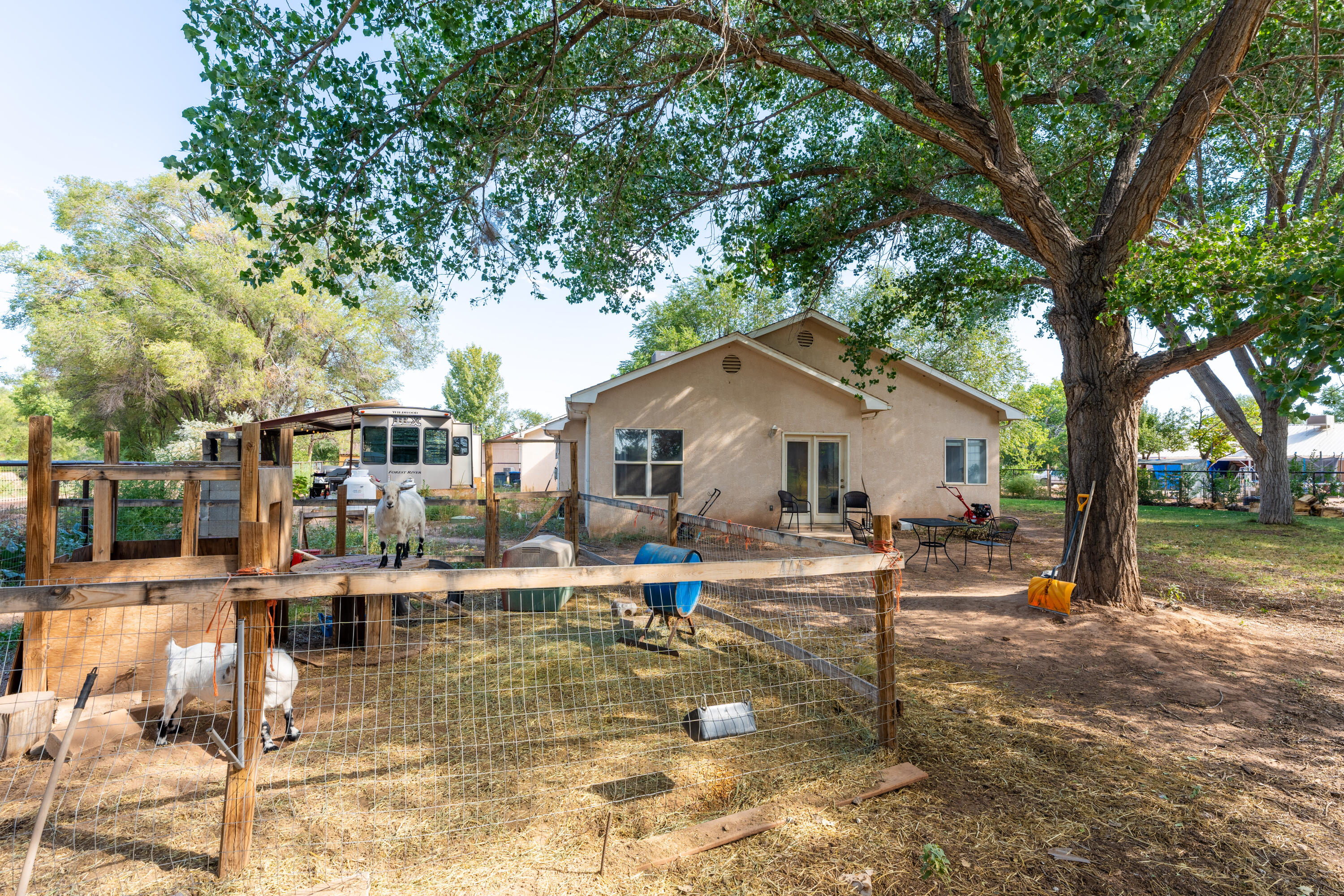 4 DOVE Court